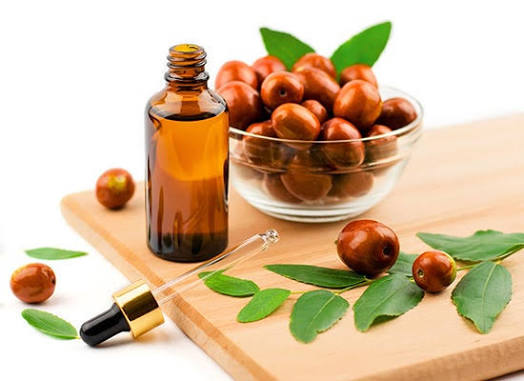 Jojoba Yağının Faydaları Nelerdir?