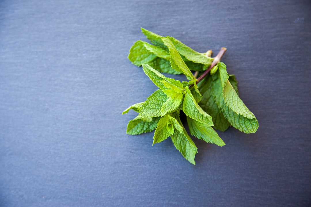 Mint Nelerdir, Neye İyi Gelir? Mentol ve Sindirim Rahatlaması