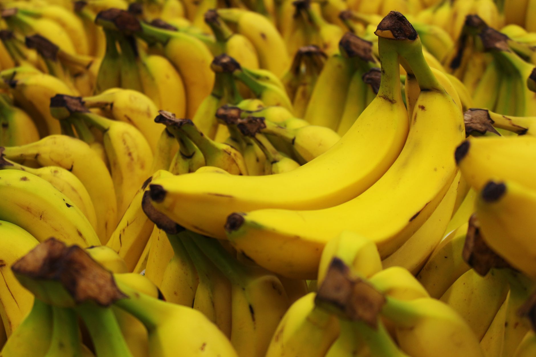 B6 Vitamininin Faydaları Nelerdir?