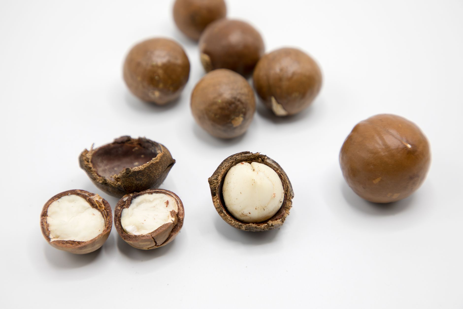Macadamia Fıstığı Faydaları Nelerdir?