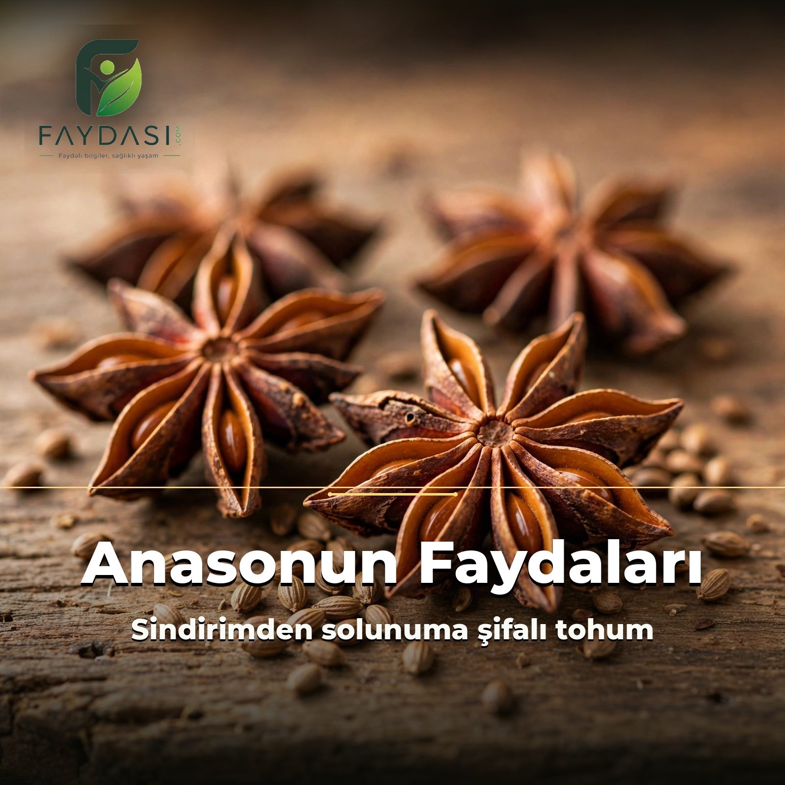 Anasonun Faydaları Nelerdir, Neye İyi Gelir?