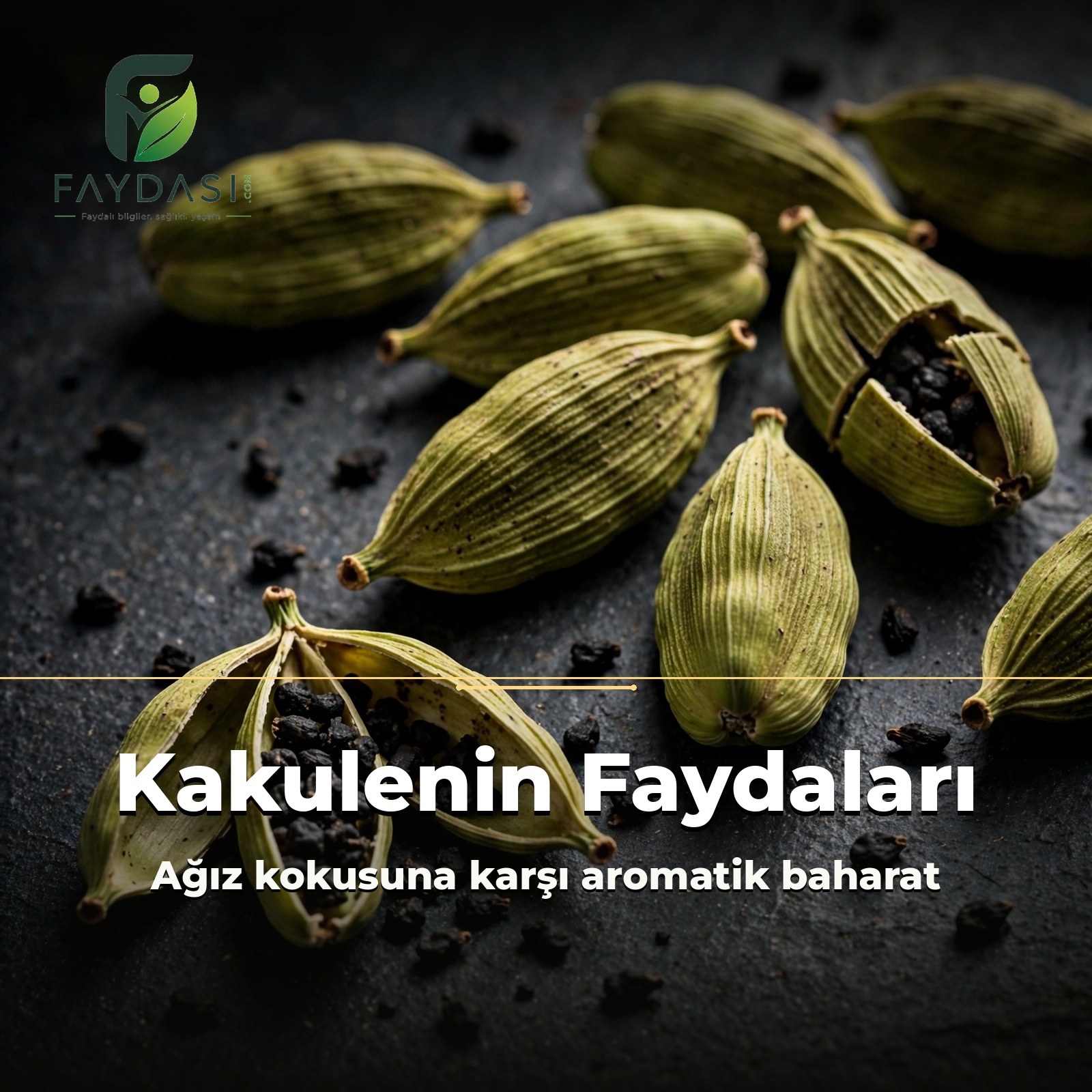 Kakulenin Faydaları Nelerdir, Neye İyi Gelir?